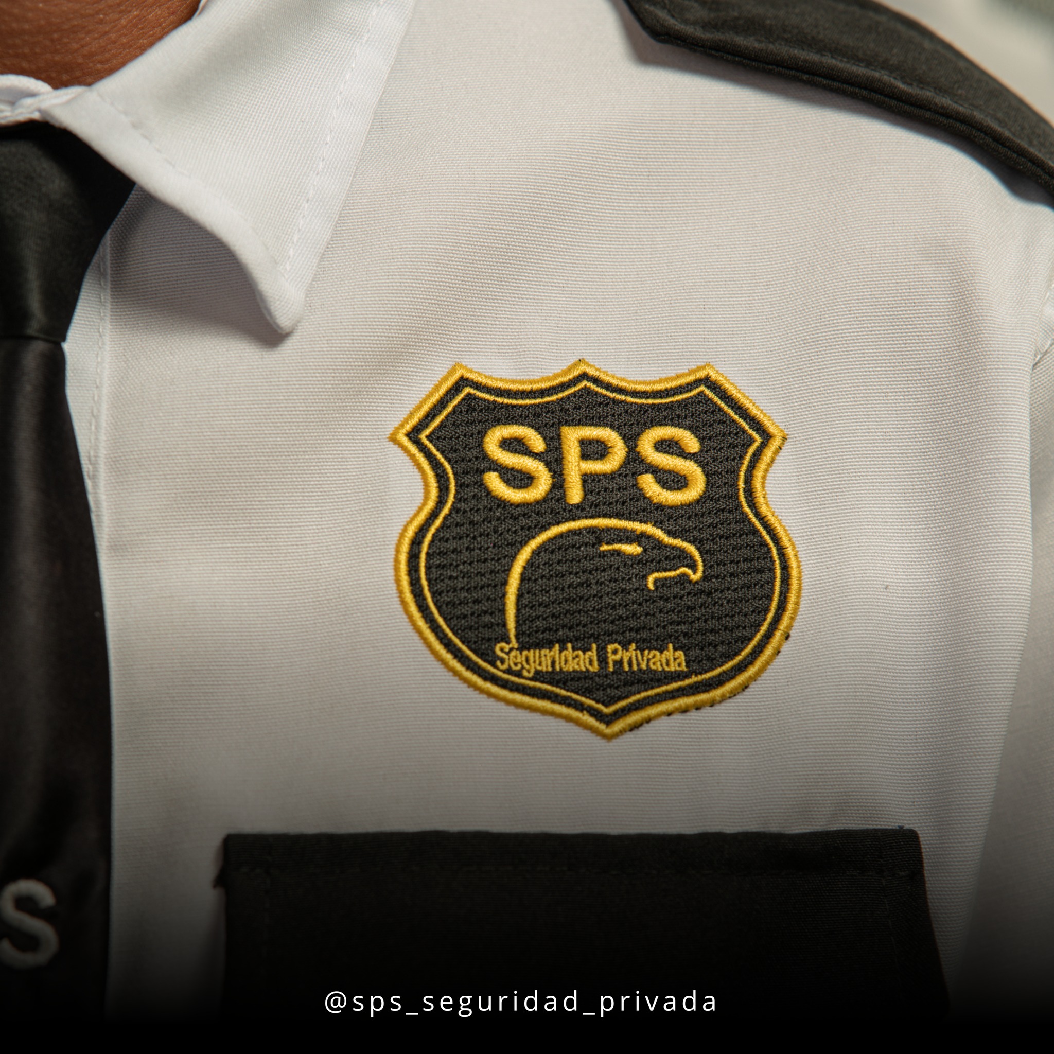 proteccion sps seguridad privada en celaya